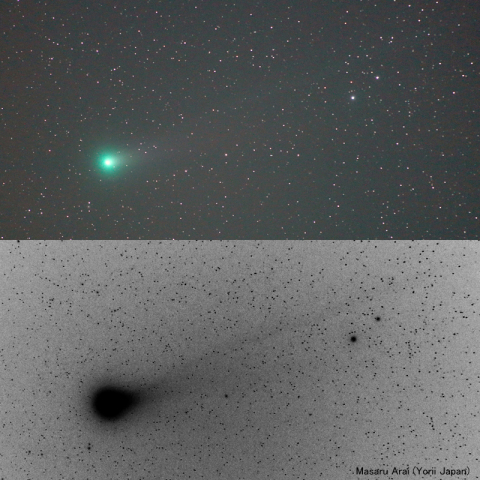 ラブジョイ彗星（20131114）