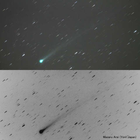 アイソン彗星（20131114）