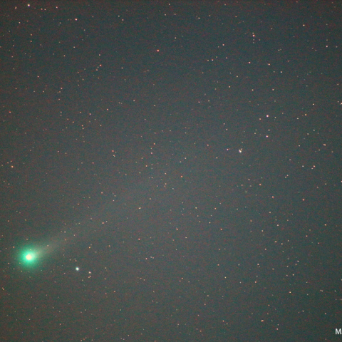 ラブジョイ彗星（20131120）