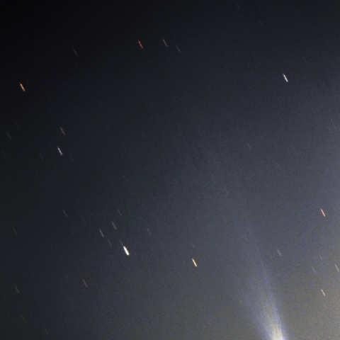 アイソン彗星（20131121）