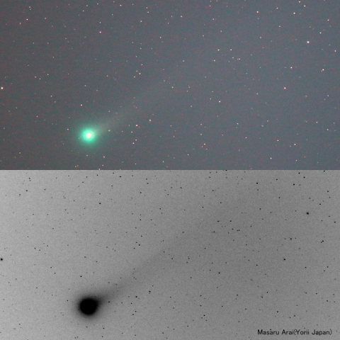 ラブジョイ彗星（20131121）