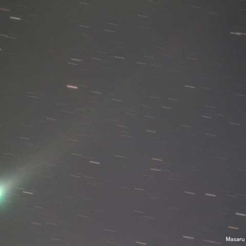 ラブジョイ彗星（20131122）