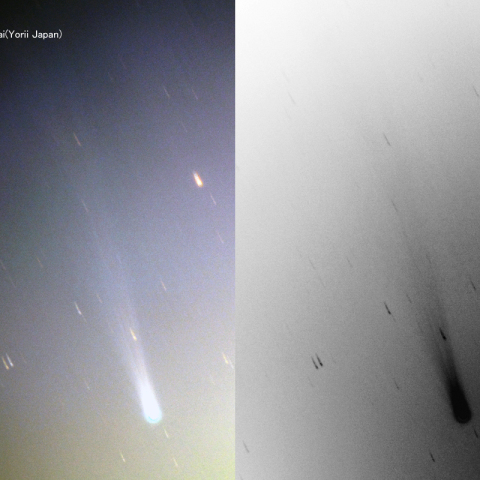 アイソン彗星（20131122）