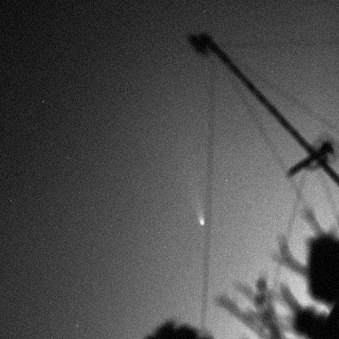 アイソン彗星（20131123）