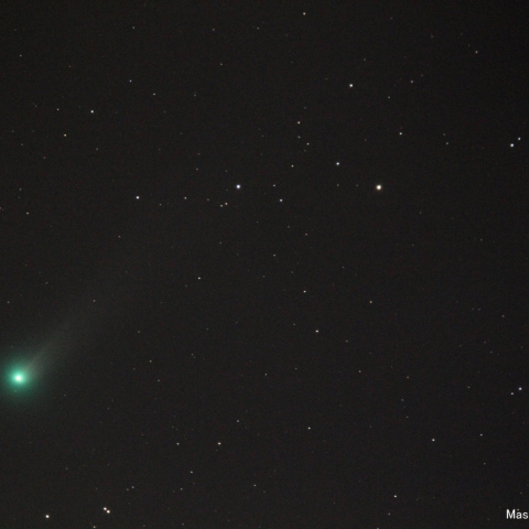 ラブジョイ彗星（20131124）