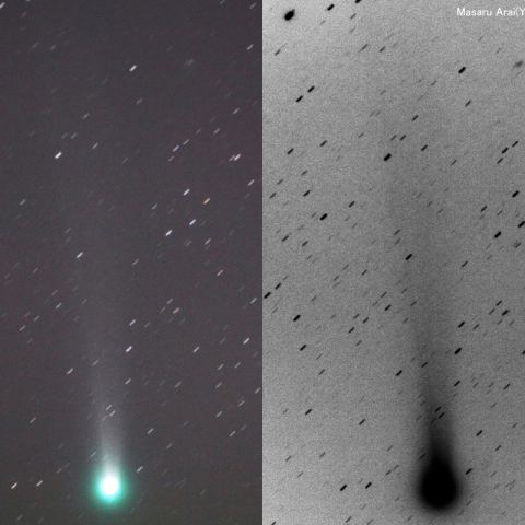 ラブジョイ彗星20131201