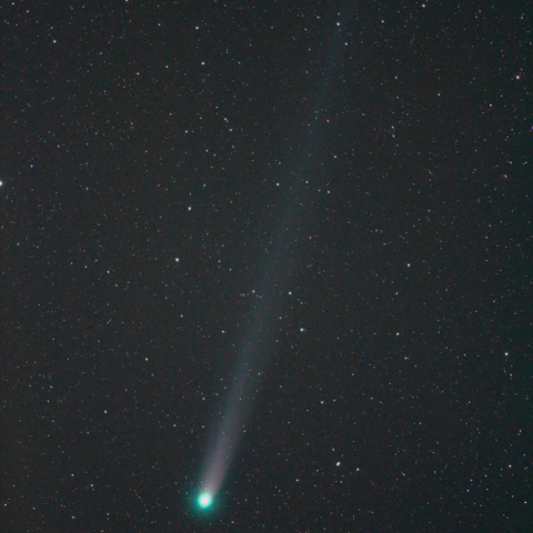 300mmによるラブジョイ彗星（20131207）