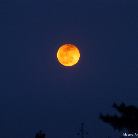 半影月食（４月１５日の月食より）