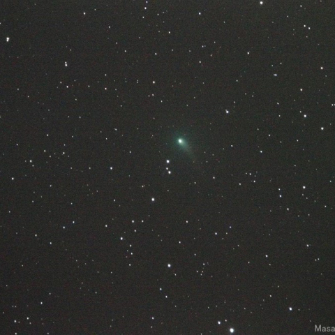 500mmによるパンスターズ彗星(C/2012K1)（20140503）