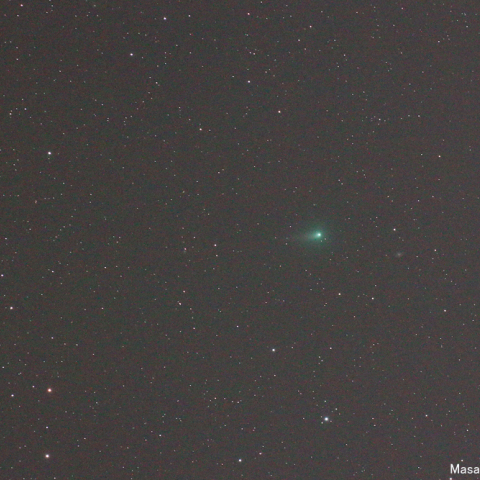 パンスターズ彗星(C/2012K1)（20140523）