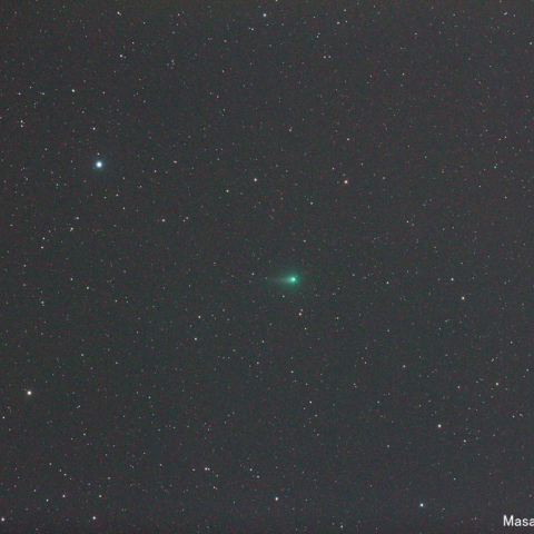 300mmによるパンスターズ彗星（20140531）