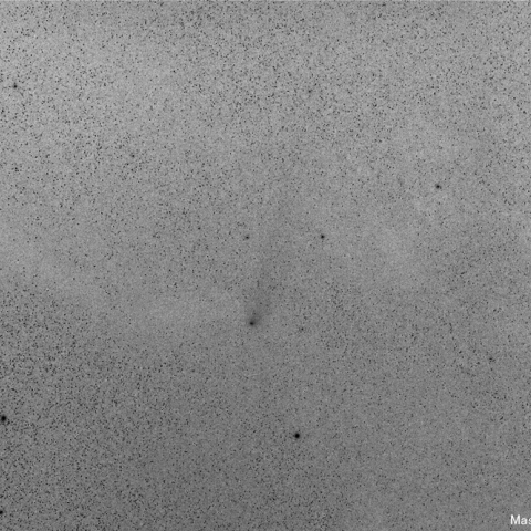 ラブジョイ彗星に尾　（白黒反転） 