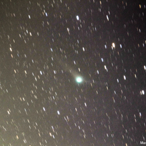 500mmによるパンスターズ彗星