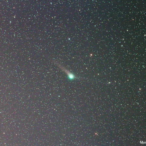 300mmによるパンスターズ彗星