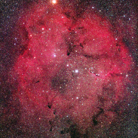 300mmによるケフェウス座の散光星雲