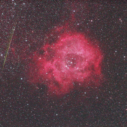 バラ星雲と流星