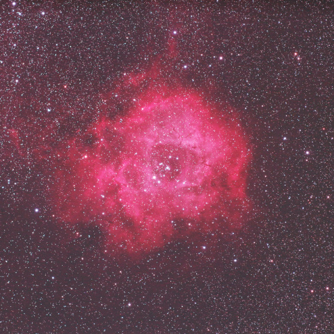 300mmによるバラ星雲