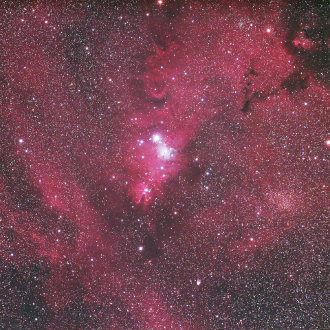 300mmによるクリスマスツリー星団