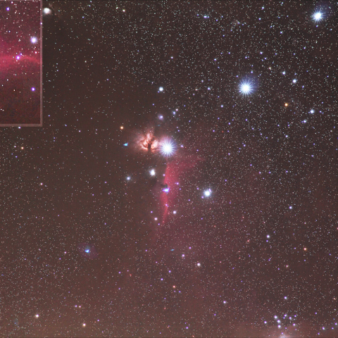 180mm・The hat on Horsehead