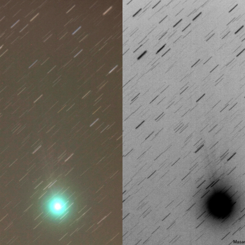 ラブジョイ彗星（C/2014Q2）