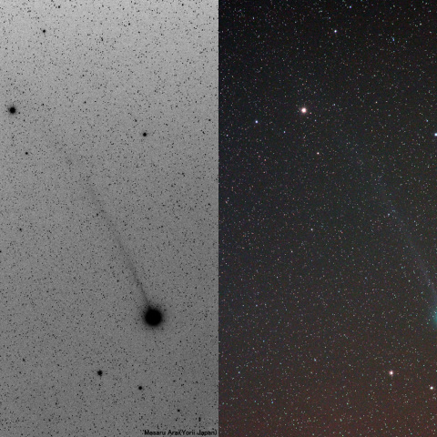 180mmによるラブジョイ彗星