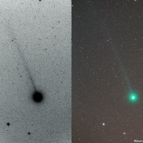 300mmによるラブジョイ彗星とM79