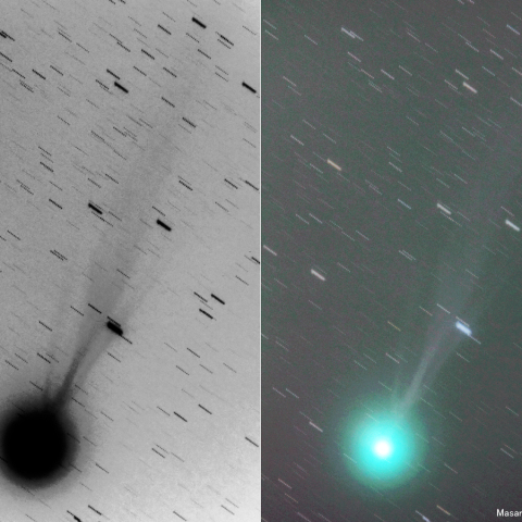 500mmによるラブジョイ彗星