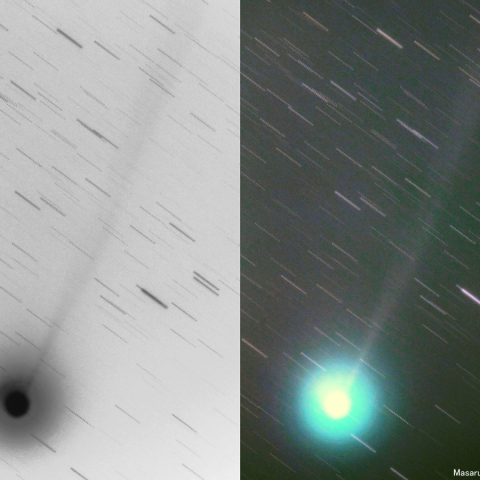 500mmによるラブジョイ彗星