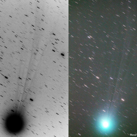 500mmによるラブジョイ彗星