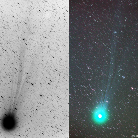 300mmによるラブジョイ彗星