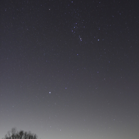 星空模様・昇るオリオン座とシリウス