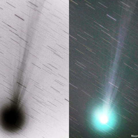 500mmによるラブジョイ彗星