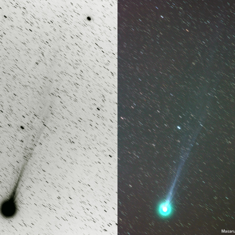 180mmによるラブジョイ彗星