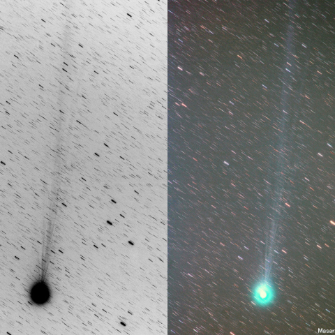180mmによるラブジョイ彗星