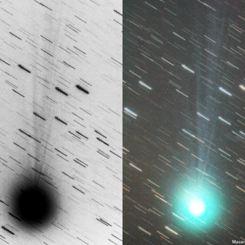500mmによるラブジョイ彗星