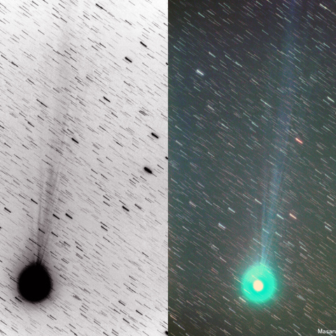 300mmによるラブジョイ彗星