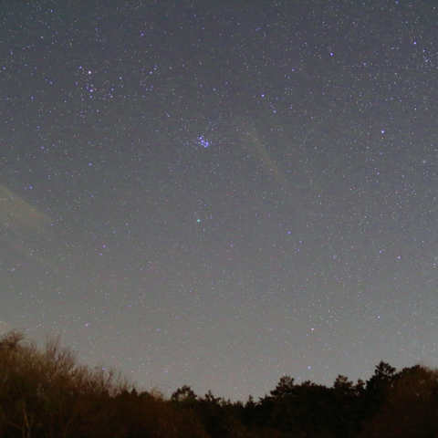 星空模様・沈むラブジョイ彗星とすばる