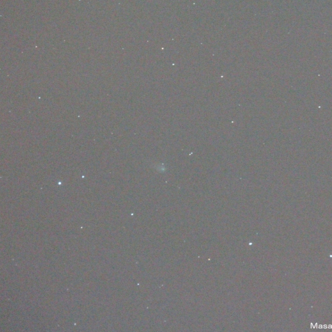 フィンレー彗星