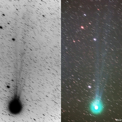 300mmによるラブジョイ彗星