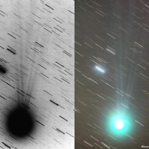 500mmによるラブジョイ彗星