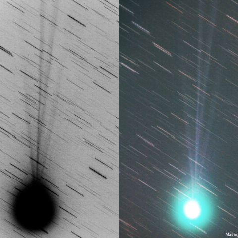 500mmによるラブジョイ彗星