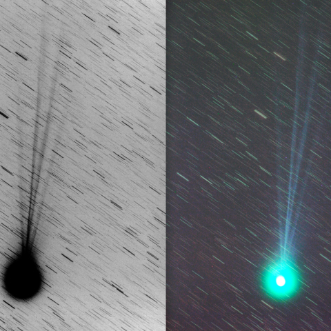 300mmによるラブジョイ彗星