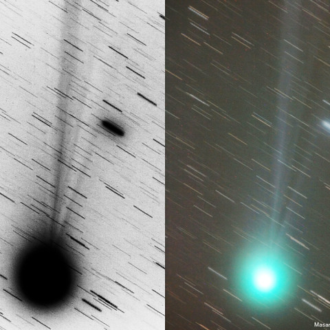 500mmによるラブジョイ彗星