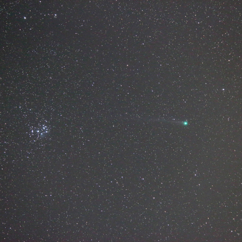 50mmによるラブジョイ彗星