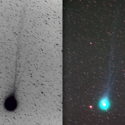 300mmによるラブジョイ彗星