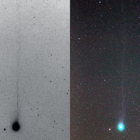 180mmによるラブジョイ彗星