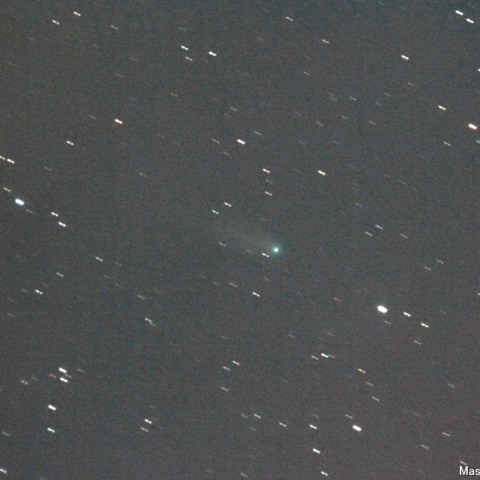 フィンレー彗星