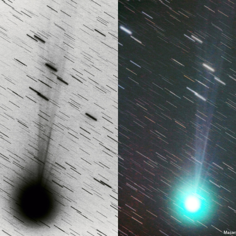 500mmによるラブジョイ彗星