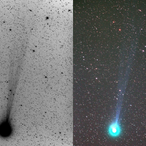 300mmによるラブジョイ彗星