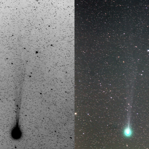 180mmによるラブジョイ彗星